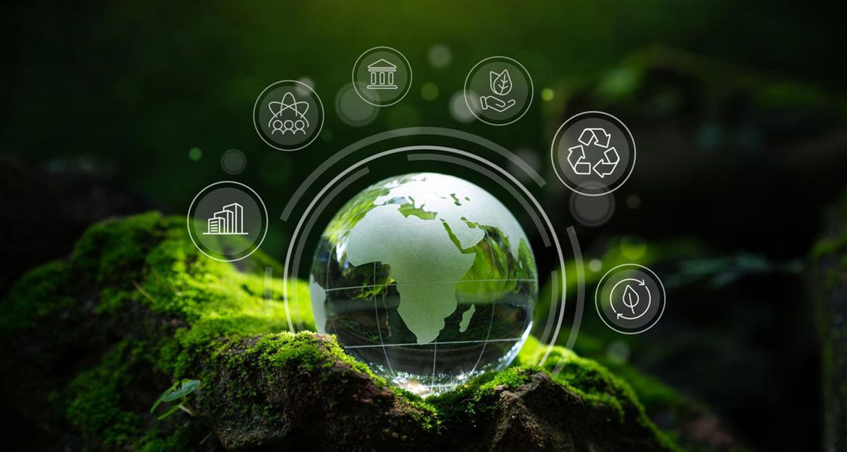 Výskumný inštitút technológie lyofilizácie Sieno (Jiangsu) Co., Ltd