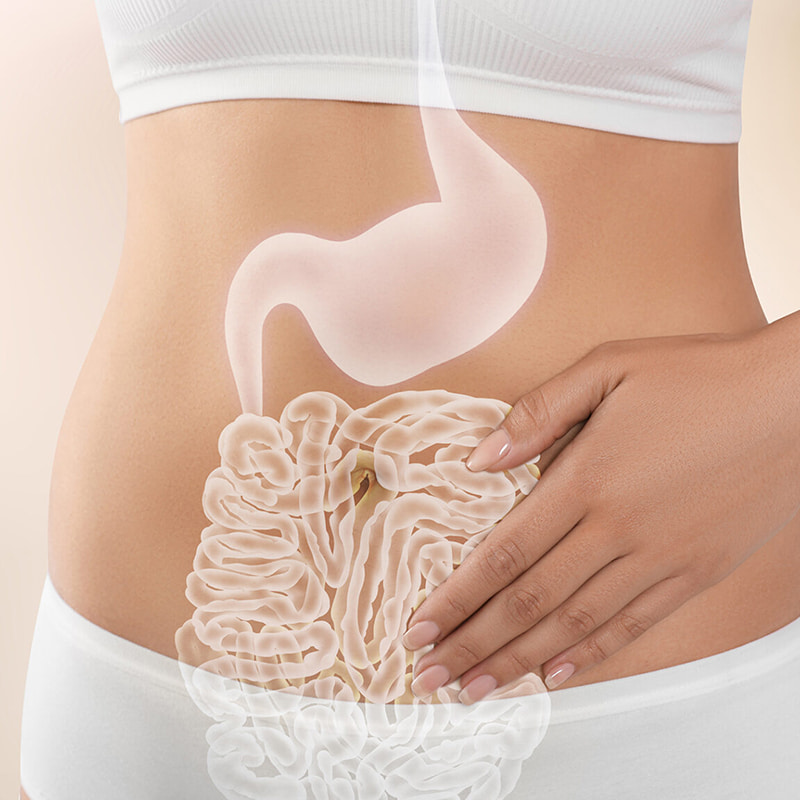 Lyofilizovaný stroj na formovanie vermicelli pre zdravie gastrointestinálneho traktu Lyofilizované produkty